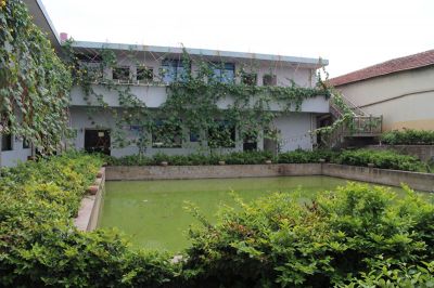 Workshop